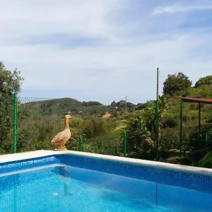 https://live-finca-el-gamonal-bajo.in-canary-islands.com